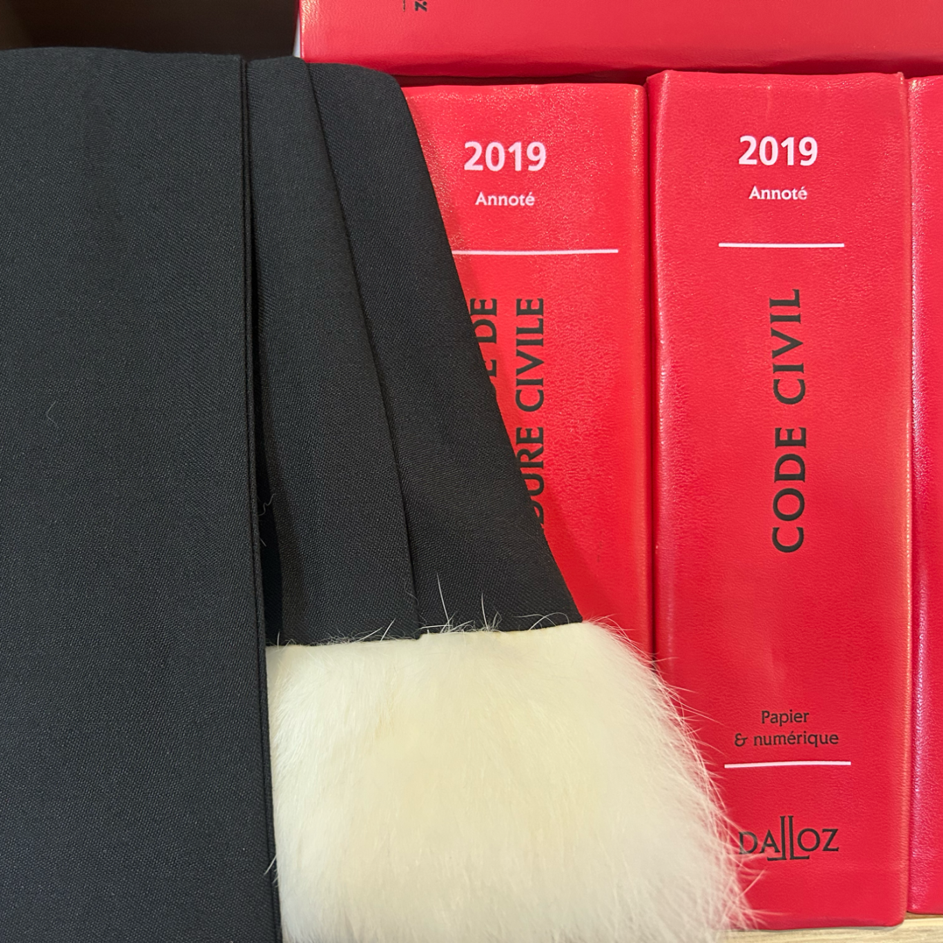 Exposition robes - EFB Paris